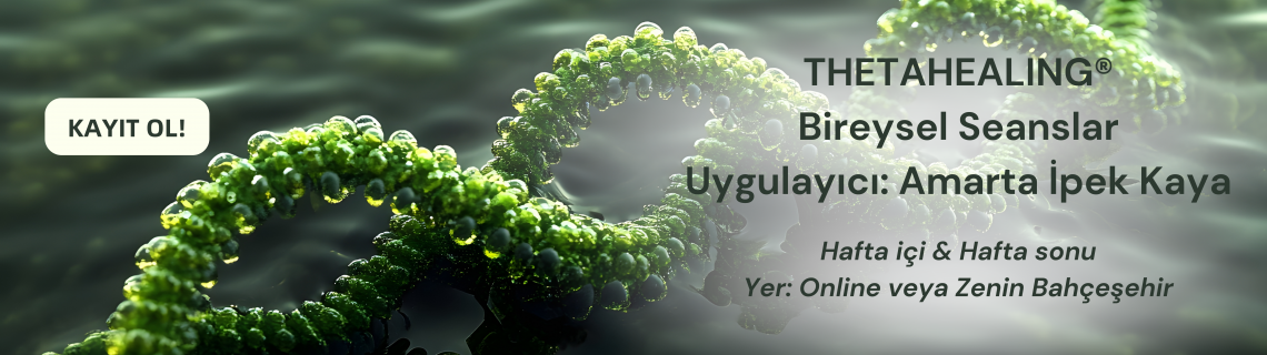 Theta Healing Bireysel Seans